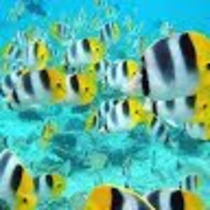 Meet your Posher, Juan camilo